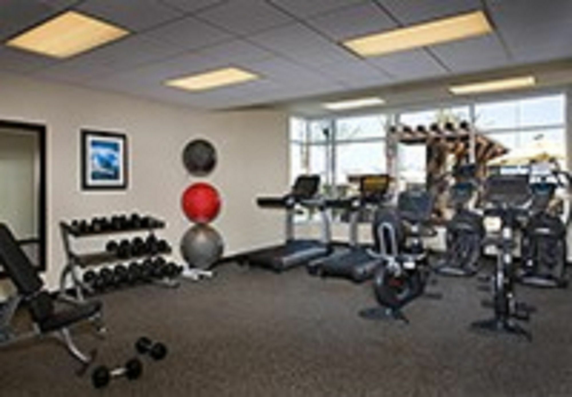 Fairfield Inn & Suites By Marriott Charlotte Airport מראה חיצוני תמונה
